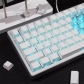 Black White Rose 131+21 PBT Dye-subbed PC Crystal Clear Backlit Cool Keycaps Set Screen Printing Doubleshot Side Legends